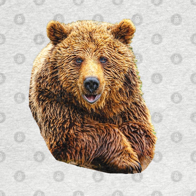 Cute Brown Bear by dalyndigaital2@gmail.com